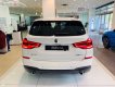 BMW X3 2019 - Cần bán BMW X3 xDrive20i đời 2019, màu trắng, xe nhập