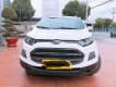 Ford EcoSport 2015 - Bán Ford EcoSport 2015, màu trắng, xe gia đình