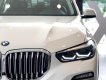 BMW X5 2019 - Bán xe BMW X5 đời 2019, trắng, nhập khẩu 100% từ Đức