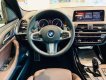 BMW X3 2019 - Bán ô tô BMW X3 2019, màu trắng, nhập khẩu nguyên chiếc