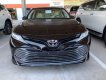 Toyota Camry 2019 - Bán Toyota Camry đời 2019, màu đen, nhập khẩu 