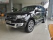 Ford Everest titanium 4x2 2019 - Cần bán xe Ford Everest titanium 4x2 năm sản xuất 2019, màu đen, nhập khẩu