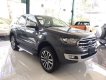 Ford Everest 2019 - Bán Ford Everest 4x2MT sản xuất 2019, màu đen, xe nhập 