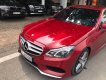 Mercedes-Benz E class E250 AMG 2015 - Bán xe E250 AMG sản xuất 2015