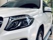 Mercedes-Benz GLS 350d 4Matic 2018 - Bán xe Mercedes GLS 350d 4Matic