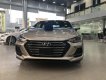 Hyundai Elantra 2019 - Bán ô tô Hyundai Elantra 1.6 turbo sản xuất 2019, màu kem (be)