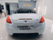 Peugeot RCZ 2015 - Cần bán Peugeot RCZ năm 2015, màu trắng còn mới giá 1 tỷ 250 triệu đồng