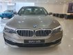 BMW 5 Series 520i 2019 - Bán BMW 5 Series 520i sản xuất năm 2019, màu xám, nhập khẩu nguyên chiếc