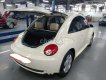 Volkswagen Beetle    2010 - Cần bán Volkswagen Beetle sản xuất năm 2010, màu trắng, nhập khẩu nguyên chiếc