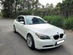 BMW 5 Series 525i 2007 - Bán ô tô BMW 525i đời 2007, màu trắng, nhập khẩu chính hãng, số tự động, giá tốt