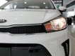 Kia Kia khác   2019 - Soluto giá tốt nhất phân khúc