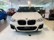 BMW X3 2019 - Bán xe BMW X3 xDrive20i đời 2019, màu trắng, xe nhập