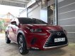 Lexus NX 30 2018 - Chính chủ bán xe Lexus NX 300 sản xuất 2018, màu đỏ