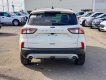 Ford Escape 2019 - Bán xe Ford Escape đời 2019, màu trắng, hỗ trợ tốt