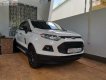 Ford EcoSport Titanium Black 1.5L AT 2017 - Bán Ford EcoSport Titanium Black 1.5L AT 2017, màu trắng 