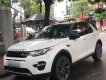 LandRover Discovery Sport 2015 - Bán ô tô LandRover Discovery Sport đời 2015, hai màu, nhập khẩu chính chủ