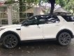 LandRover Discovery Sport 2015 - Bán ô tô LandRover Discovery Sport đời 2015, hai màu, nhập khẩu chính chủ