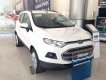 Ford EcoSport Trend 1.5L AT 2019 - Cần bán xe Ford EcoSport Trend 1.5L AT đời 2019