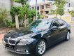 BMW 5 Series 2017 - Cần bán BMW 5 Series đời 2017, màu đen, xe nhập chính chủ