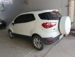 Ford EcoSport Titanium 2016 - Chính chủ bán Ford EcoSport Titanium đời 2016, màu trắng, nhập khẩu