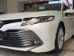 Toyota Camry 2019 - Bán Toyota Camry sản xuất năm 2019, màu trắng, xe nhập