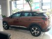 Peugeot 3008 2019 - Bán Peugeot 3008 sản xuất 2019, màu nâu