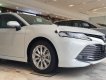 Toyota Camry 2019 - Bán Toyota Camry sản xuất năm 2019, màu trắng, xe nhập