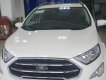 Ford EcoSport 2019 - Ecosport giảm giá kịch sàn, ưu đãi tặng nhiều phụ kiện