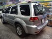 Ford Escape 2010 - Bán xe Ford Escape năm sản xuất 2010, giá tốt