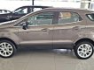 Ford EcoSport 2019 - Bán ô tô Ford EcoSport năm 2019