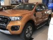 Ford Ranger 2019 - Cần bán Ford Ranger Wildtrak 2.0L 4x2 AT 2019