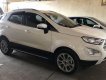 Ford EcoSport 2018 - Bán xe Ford EcoSport 2018, xe chính chủ, còn nguyên bản