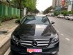 Mercedes-Benz E class   2017 - Bán ô tô Mercedes E250 sản xuất 2017