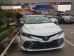 Toyota Camry 2019 - Bán Toyota Camry 2019, nhập khẩu chính hãng