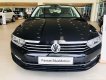 Volkswagen Passat 2019 - Cần bán xe Volkswagen Passat đời 2019, nhập khẩu nguyên chiếc