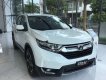 Honda CR V 2019 - Bán ô tô Honda CR V năm sản xuất 2019, xe nhập khẩu chính hãng