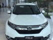 Honda CR V 2019 - Bán ô tô Honda CR V năm sản xuất 2019, xe nhập khẩu chính hãng