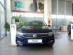 Volkswagen Passat 2019 - Bán ô tô Volkswagen Passat sản xuất 2019, nhập khẩu nguyên chiếc chính hãng