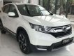 Honda CR V 2019 - Bán ô tô Honda CR V năm sản xuất 2019, nhập khẩu chính hãng