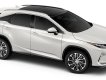 Lexus RX 2019 - RX Model 2020 đặt ngay để nhận xe sớm nhất