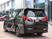 Toyota Alphard   2019 - Bán Toyota Alphard 2019, màu đen, nhập khẩu