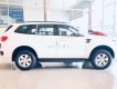 Ford Everest 2019 - Bán ô tô Ford Everest 2019, màu trắng, nhập khẩu chính hãng