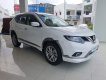 Nissan X trail 2019 - Cần bán xe Nissan X trail sản xuất 2019, nhập khẩu nguyên chiếc chính hãng