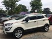 Ford EcoSport   MT 2019 - Xe Ford EcoSport MT 2019, màu trắng số sàn, giá 490tr