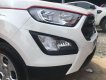 Ford EcoSport   MT 2019 - Xe Ford EcoSport MT 2019, màu trắng số sàn, giá 490tr