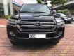 Toyota Land Cruiser VX 2016 - Cần bán gấp Toyota Land Cruiser VX đời 2016, màu đen, nhập khẩu nguyên chiếc