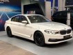 BMW 5 Series   2019 - Bán BMW 520i đời 2019, màu trắng, nhập khẩu