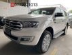 Ford Everest 2019 - Bán xe Ford Everest đời 2019, nhập khẩu nguyên chiếc chính hãng