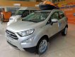 Ford EcoSport 2019 - Bán xe Ford EcoSport đời 2019, ưu đãi hấp dẫn