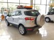 Ford EcoSport 2019 - Bán xe Ford EcoSport đời 2019, ưu đãi hấp dẫn